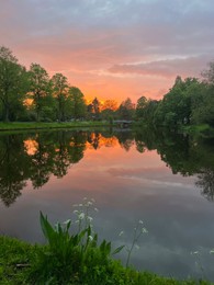 Picturesque view of pond at bright sunset