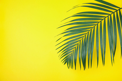 Photo of Beautiful lush tropical leaf on yellow background. Space for text