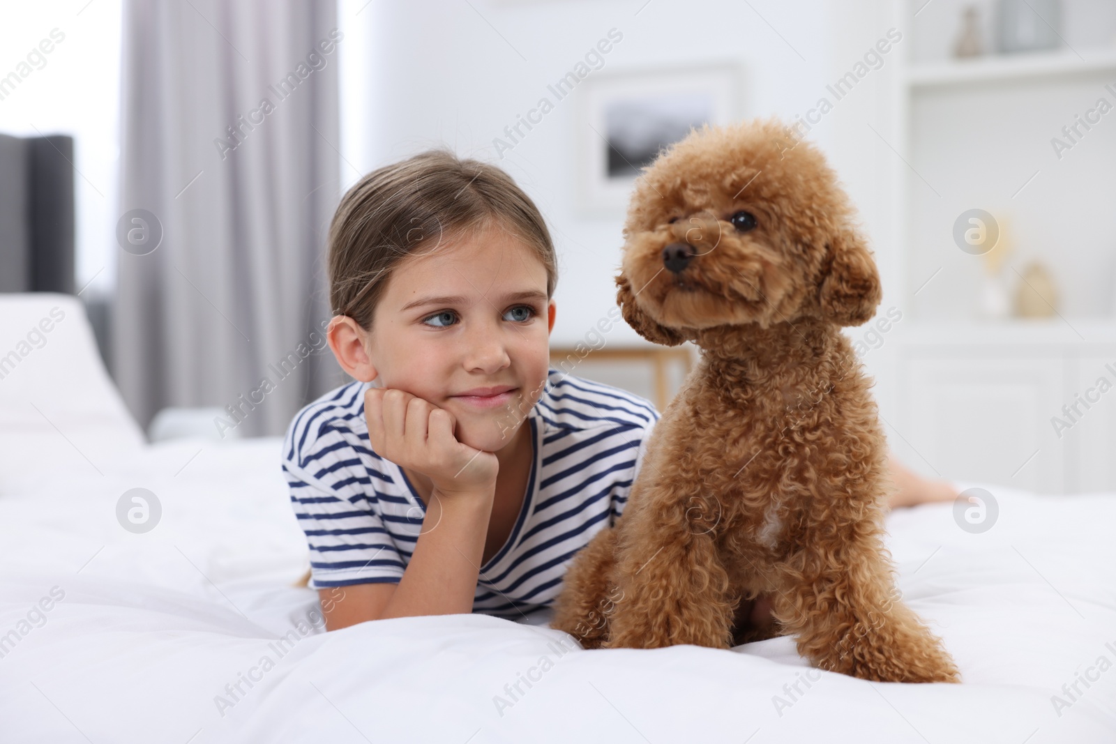 Photo of Little child and cute puppy on bed at home. Lovely pet