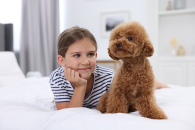 Little child and cute puppy on bed at home. Lovely pet