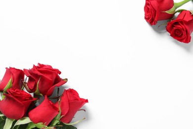 Photo of Beautiful red roses on white background, top view. Space for text