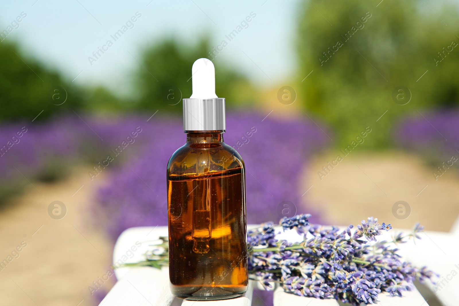 Photo of Bottle of essential oil and lavender flowers on white wooden table in field, closeup