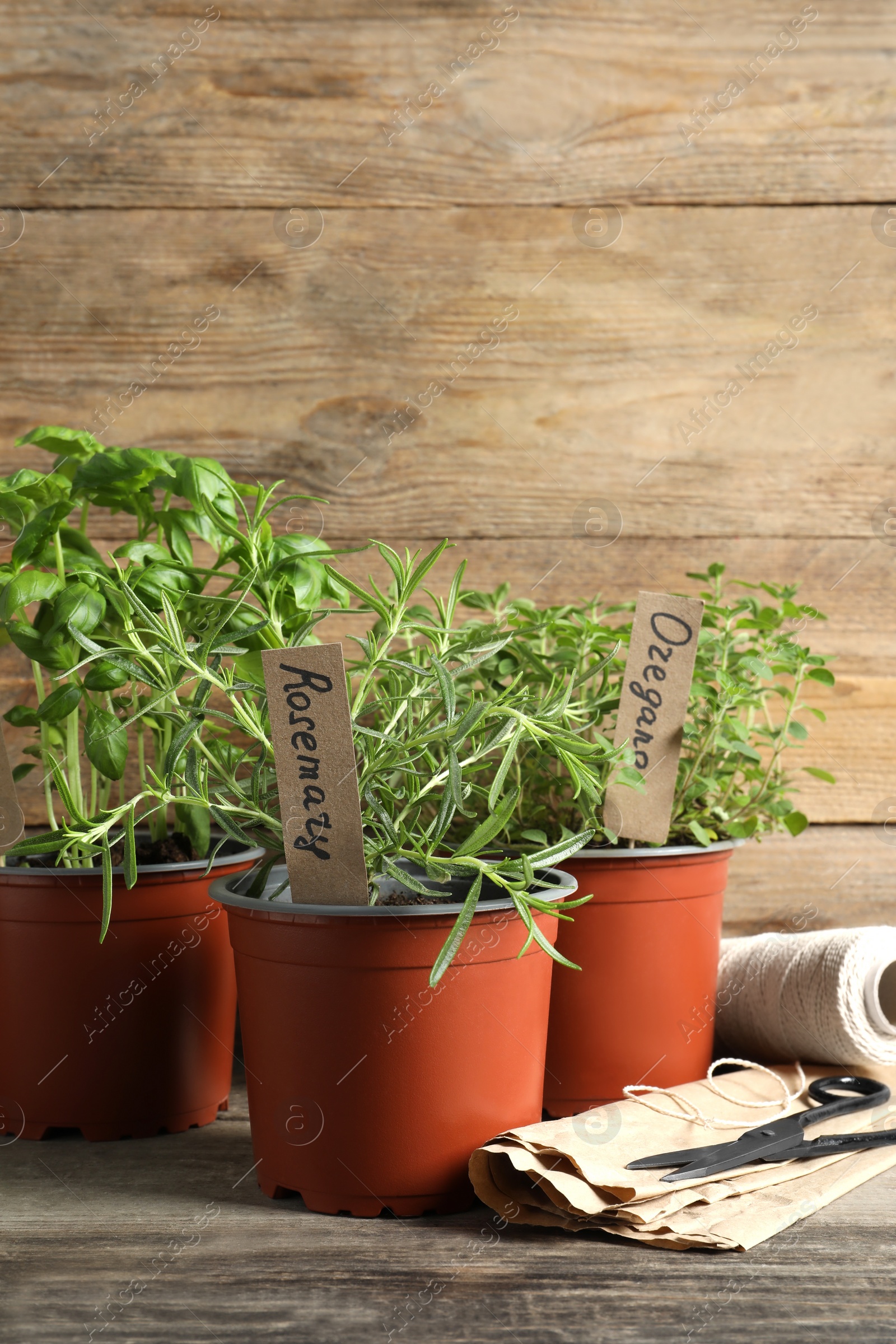 Photo of Different aromatic potted herbs on wooden table