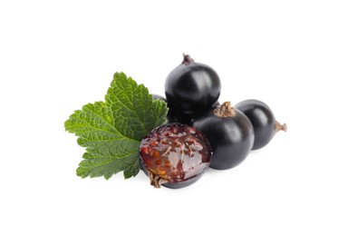 Photo of Ripe whole and cut blackcurrants with leaf isolated on white