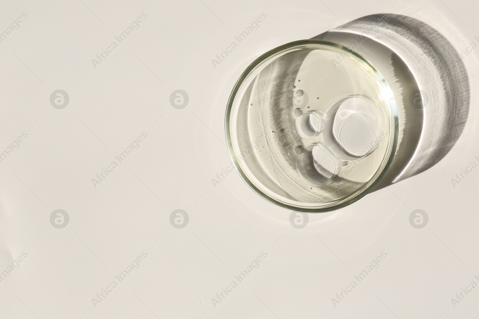 Photo of Petri dish with liquid sample on light background, top view. Space for text