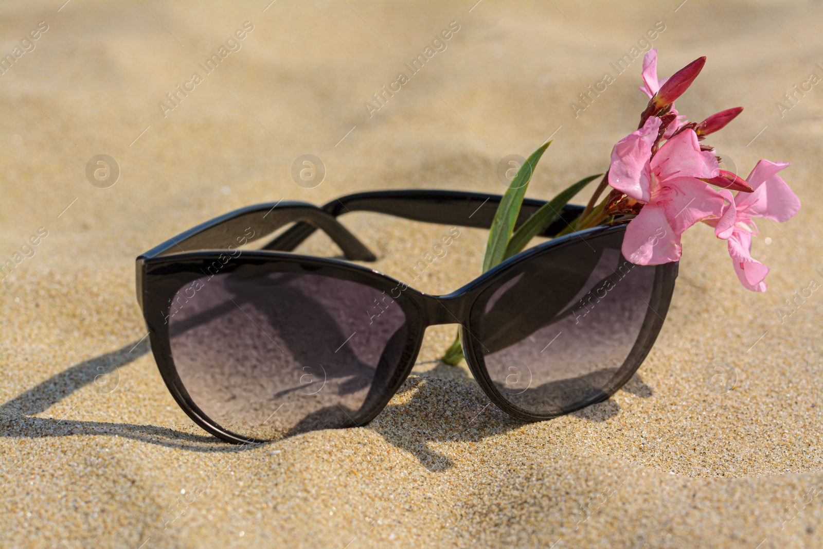 Photo of Beautiful sunglasses with flower on sandy beach, closeup