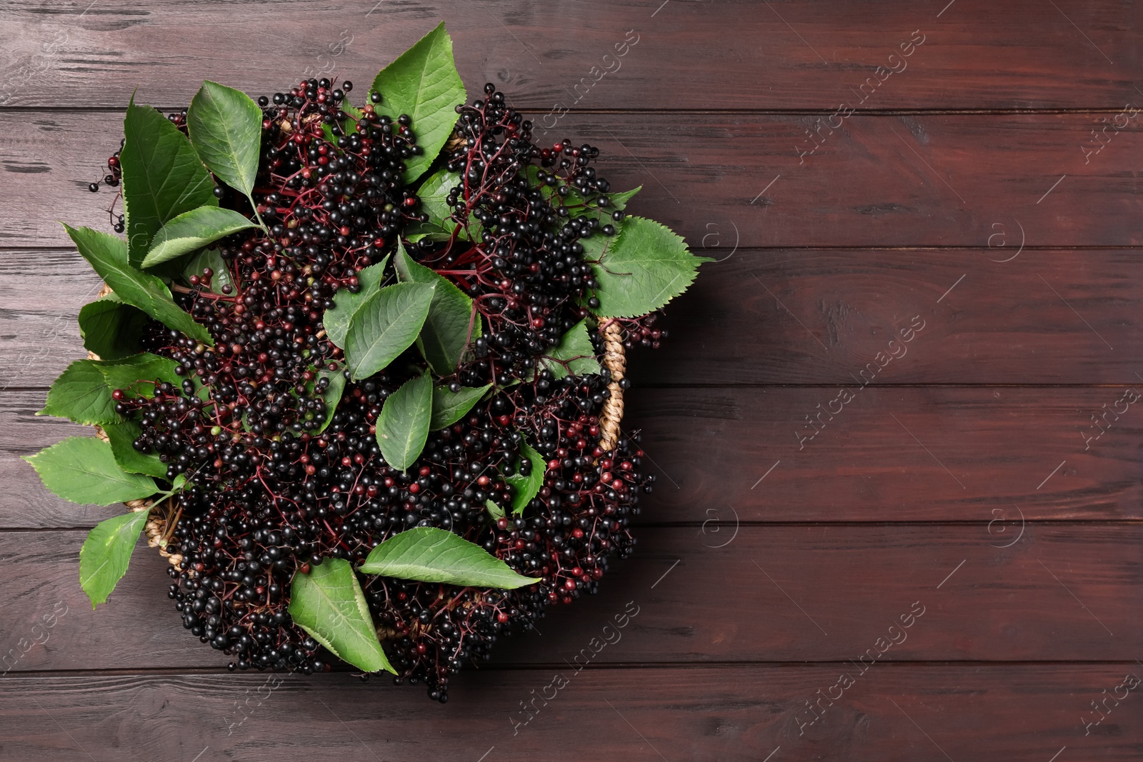 Photo of Ripe elderberries with green leaves on wooden table, top view. Space for text