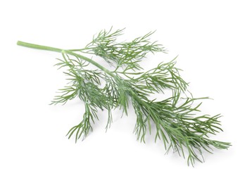 Photo of One sprig of fresh dill isolated on white