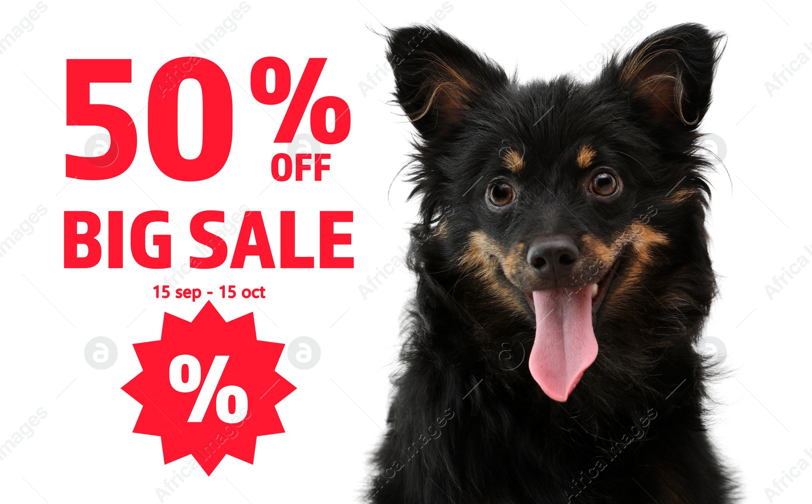 Image of Advertising poster Pet Shop SALE. Cute dog and discount offer on white background