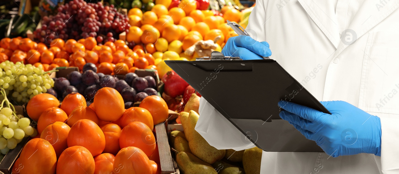 Image of Food quality control specialist examining fruits at market, closeup. Banner design