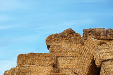 Photo of Many cereal hay bales outdoors. Agriculture industry