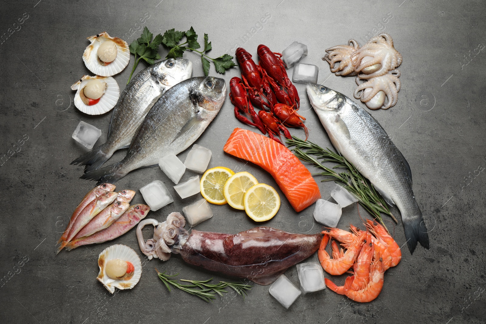 Photo of Fresh fish and seafood on grey table, flat lay