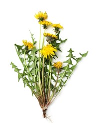 Photo of Beautiful dandelion plant with green leaves and yellow flowers on white background, top view