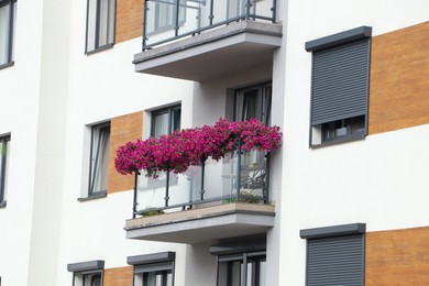 Photo of Balcony decorated with beautiful blooming potted flowers
