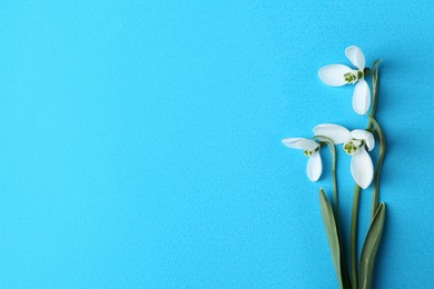 Beautiful snowdrops on light blue background, flat lay. Space for text