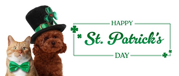 Image of Happy St. Patrick's day card. Cute dog in leprechaun hat and cat with green bow tie on white background. Banner design