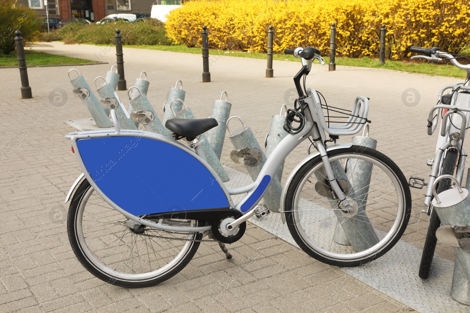 Photo of Parking rack with bicycles outdoors. Bike rental