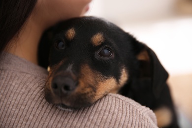 Woman with cute puppy on light background, closeup. Lovely pet