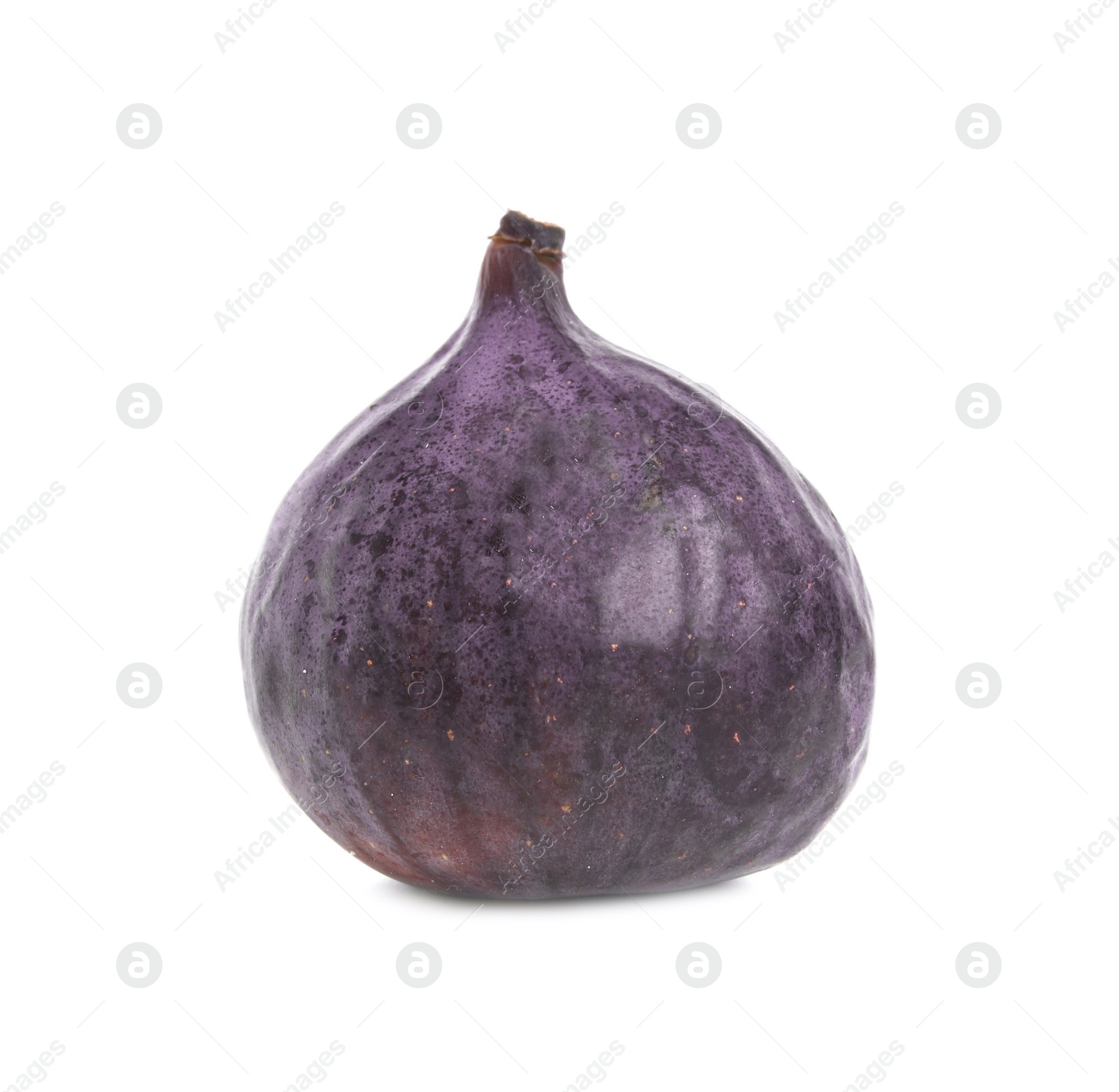 Photo of Whole ripe fresh fig isolated on white