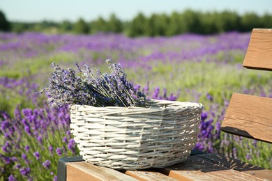 Photo of Wicker bag with beautiful lavender flowers on wooden bench in field