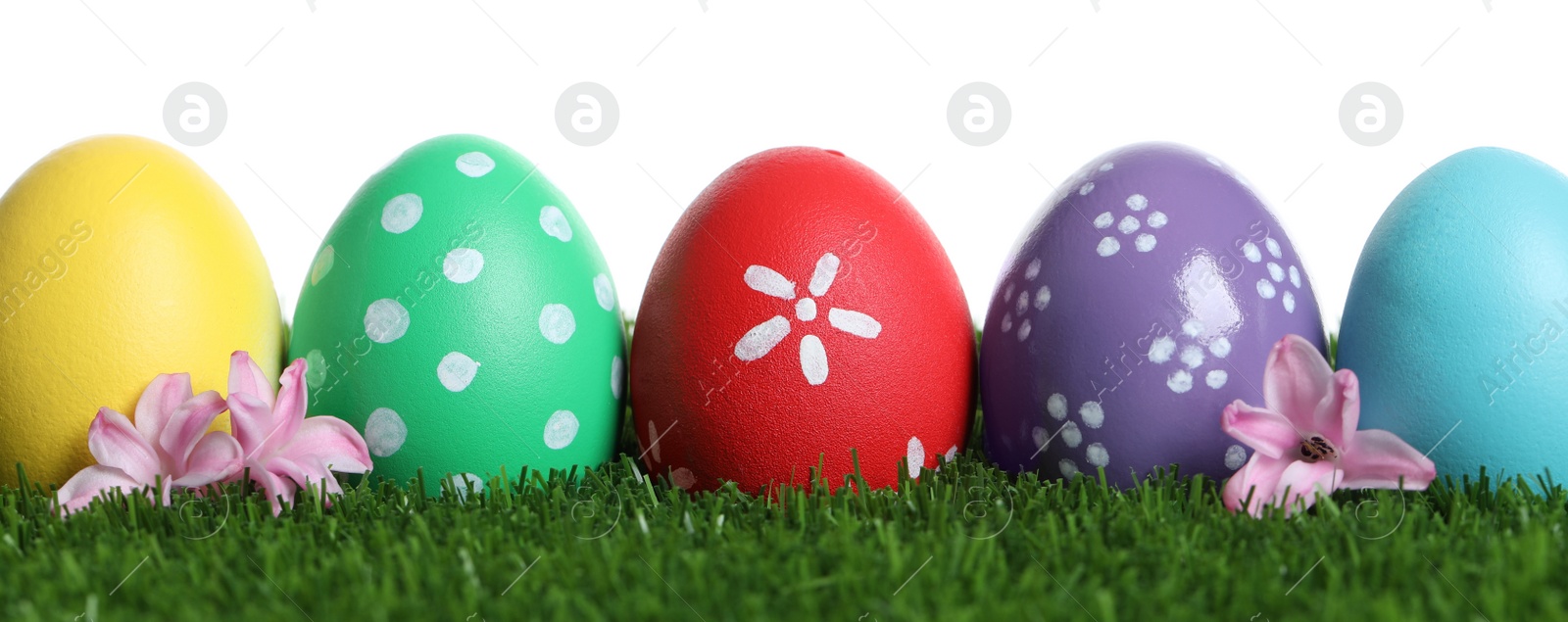 Photo of Colorful Easter eggs and flowers on green grass against white background