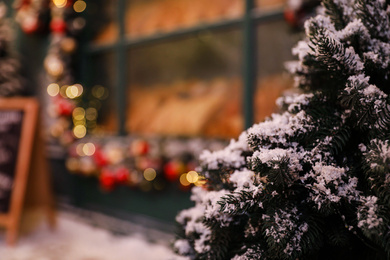 Photo of Fir branches covered with snow on blurred background. Christmas celebration