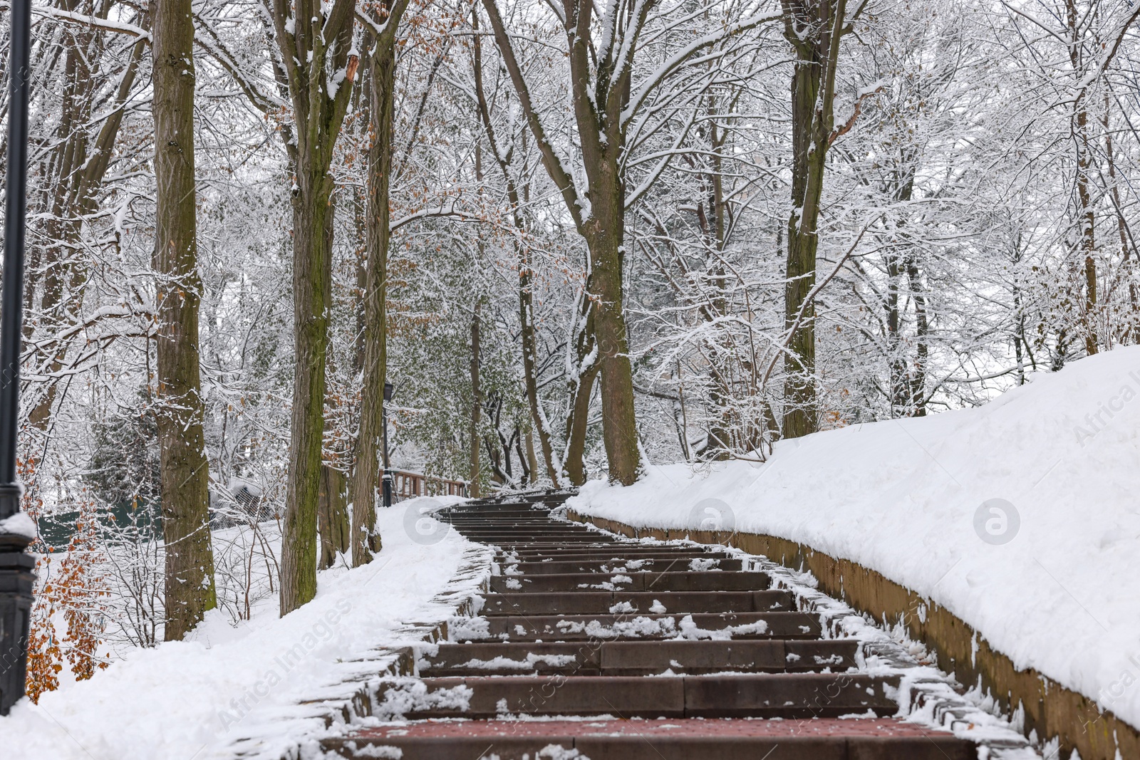 Photo of Beautiful trees covered with snow and stairs in winter park
