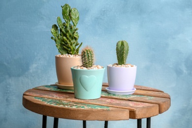 Photo of Beautiful cacti on table against color background