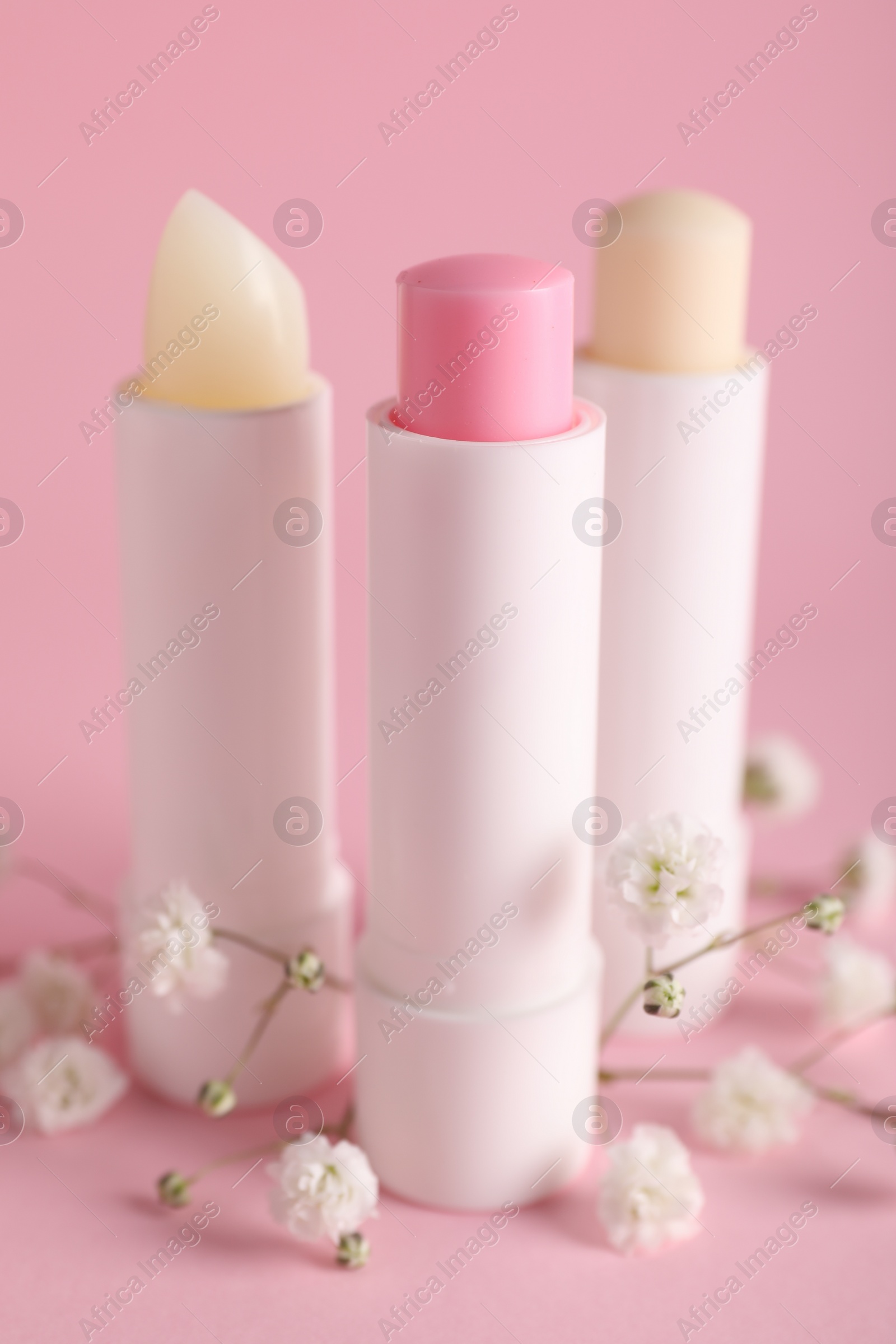 Photo of Different lip balms and gypsophila on pink background, closeup