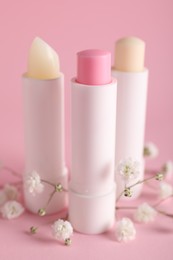 Different lip balms and gypsophila on pink background, closeup