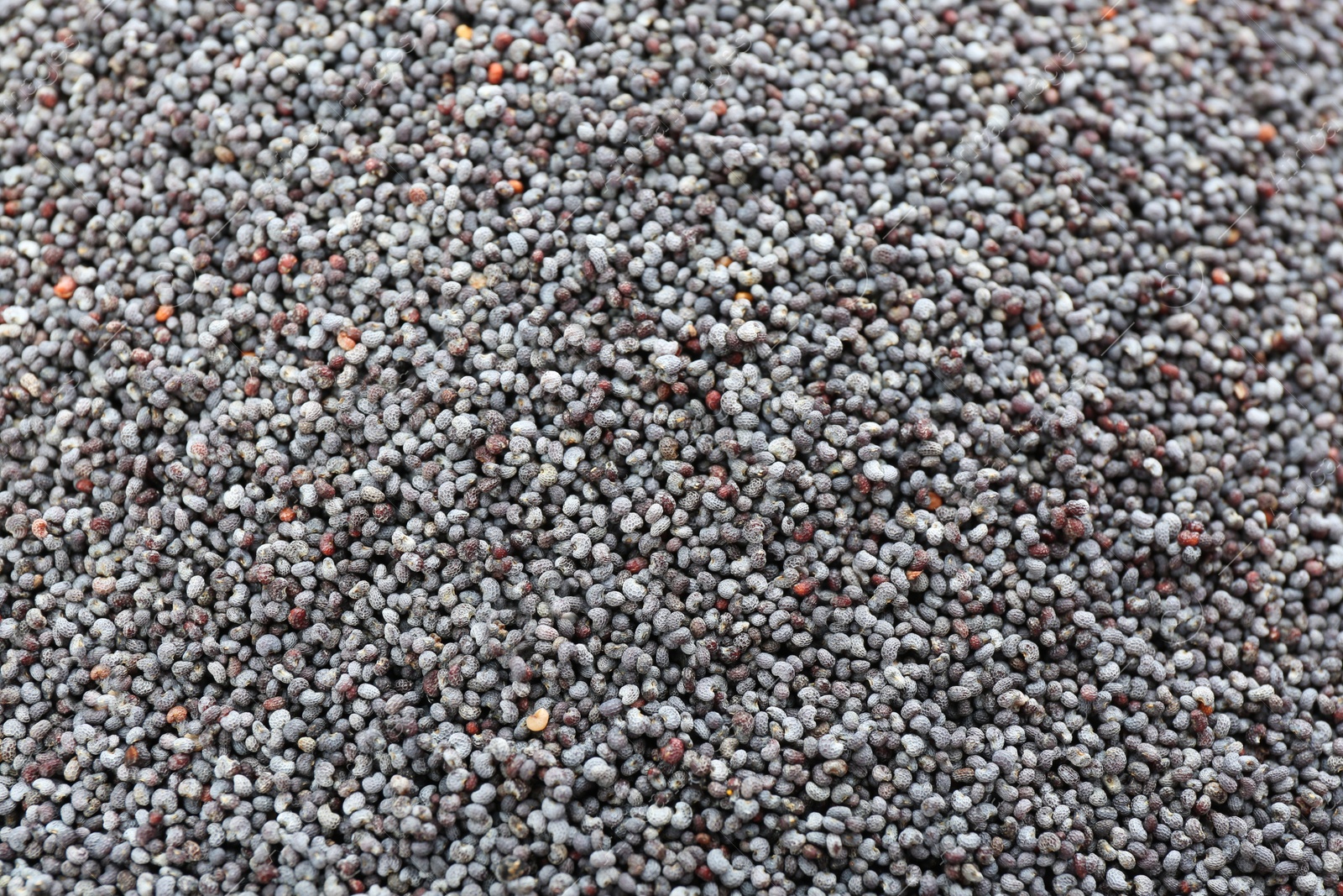 Photo of Dry poppy seeds as background, closeup view