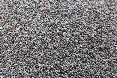 Photo of Dry poppy seeds as background, closeup view