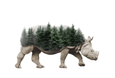 Double exposure of big rhinoceros and different coniferous trees