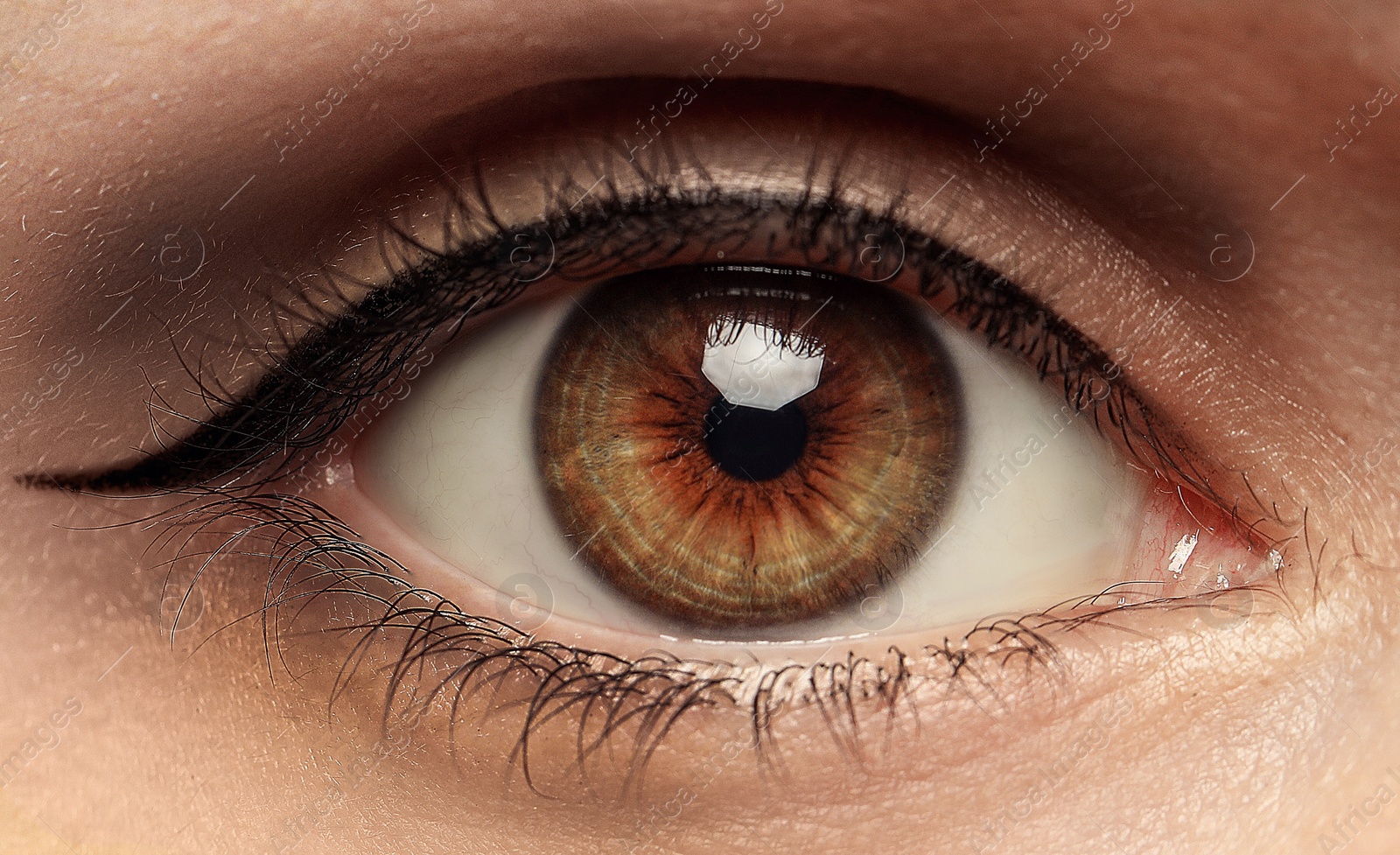 Image of Closeup view of woman with beautiful eye