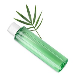 Photo of Bottle of micellar cleansing water and green twig on white background, top view