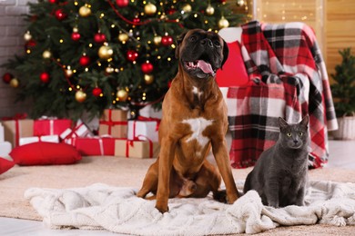 Photo of Cute dog and cat in room decorated for Christmas