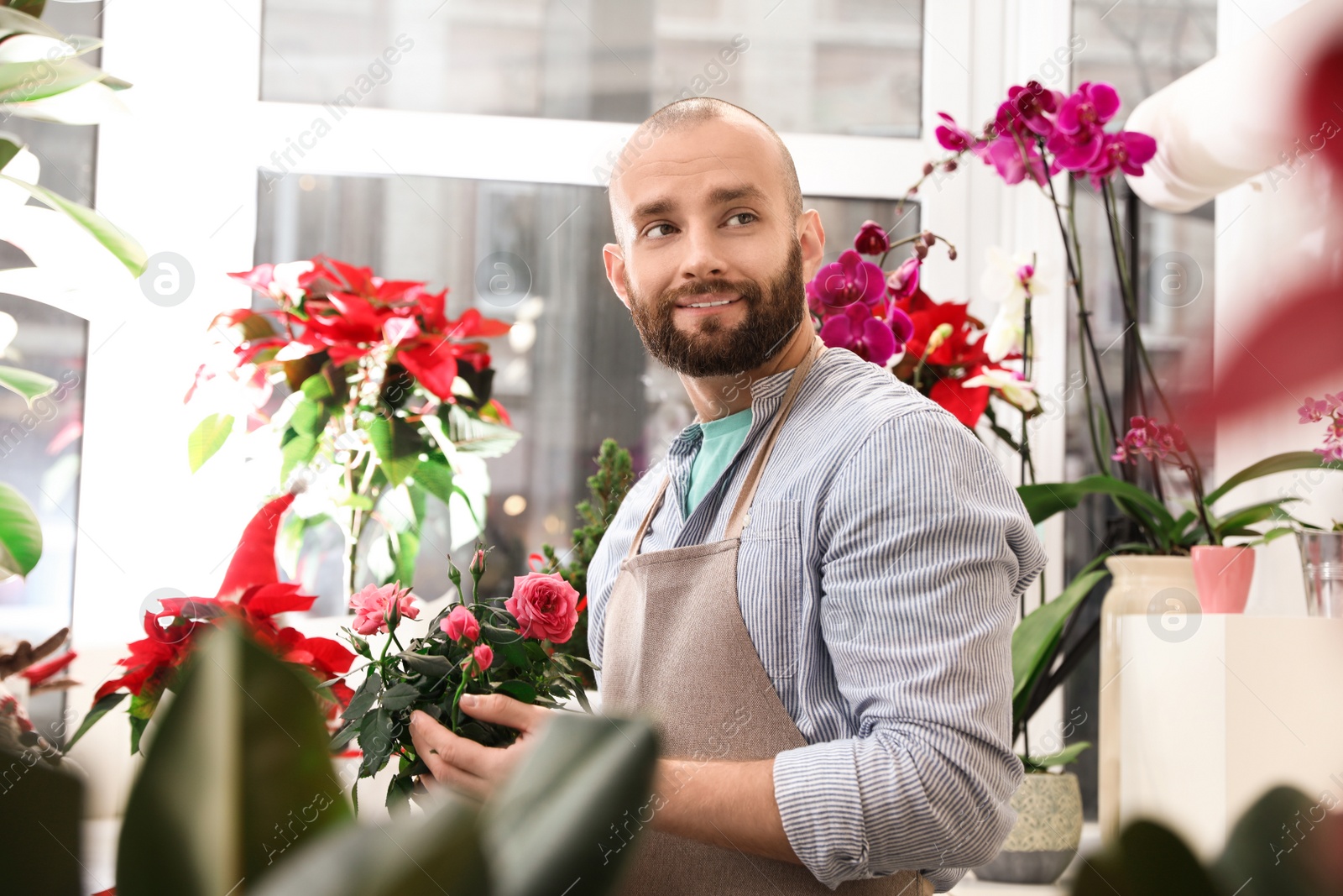 Photo of Professional male florist in apron at workplace