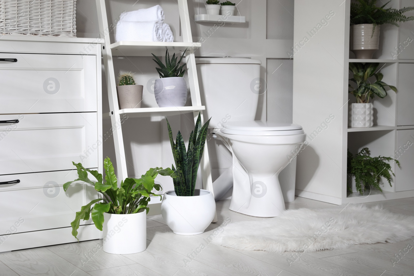 Photo of Stylish bathroom interior with toilet bowl and many beautiful houseplants