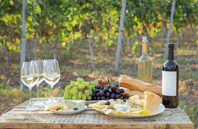 Wine, cheese and grapes on wooden table. Vineyard picnic