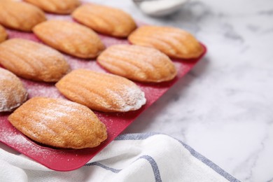 Photo of Delicious madeleine cookies in baking mold on white marble table, closeup. Space for text