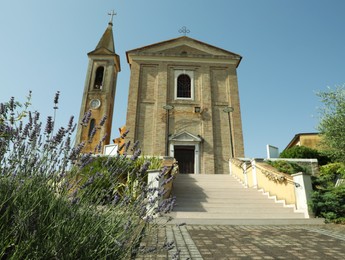 Photo of Beautiful alley with church and lavender on sunny day