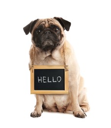 Adorable dog with Hello sign on white background