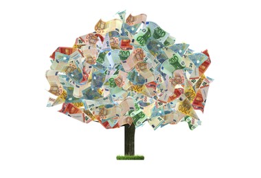 Image of Money tree on white background. Concept of financial growth and passive income