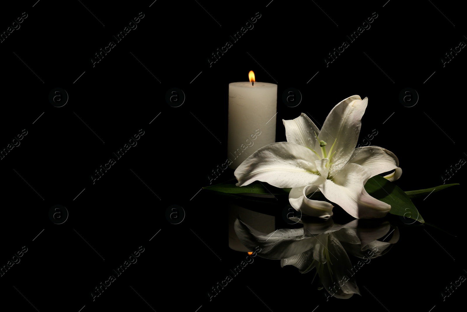 Photo of Beautiful lily and burning candle on dark background with space for text. Funeral flower