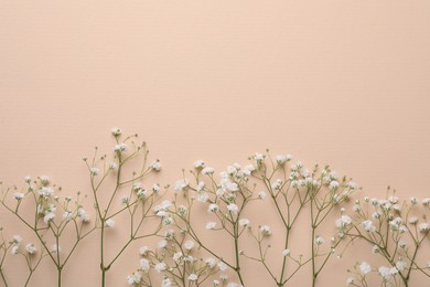 Beautiful gypsophila flowers on beige background, flat lay. Space for text