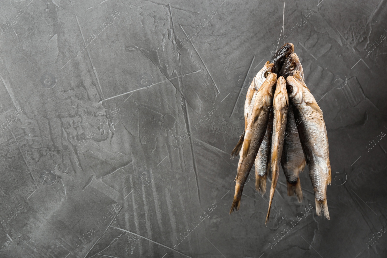 Photo of Dried fish hanging on rope against grey background, space for text