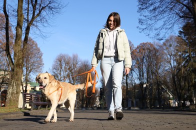 Woman walking with adorable Labrador Retriever on sunny day outdoors