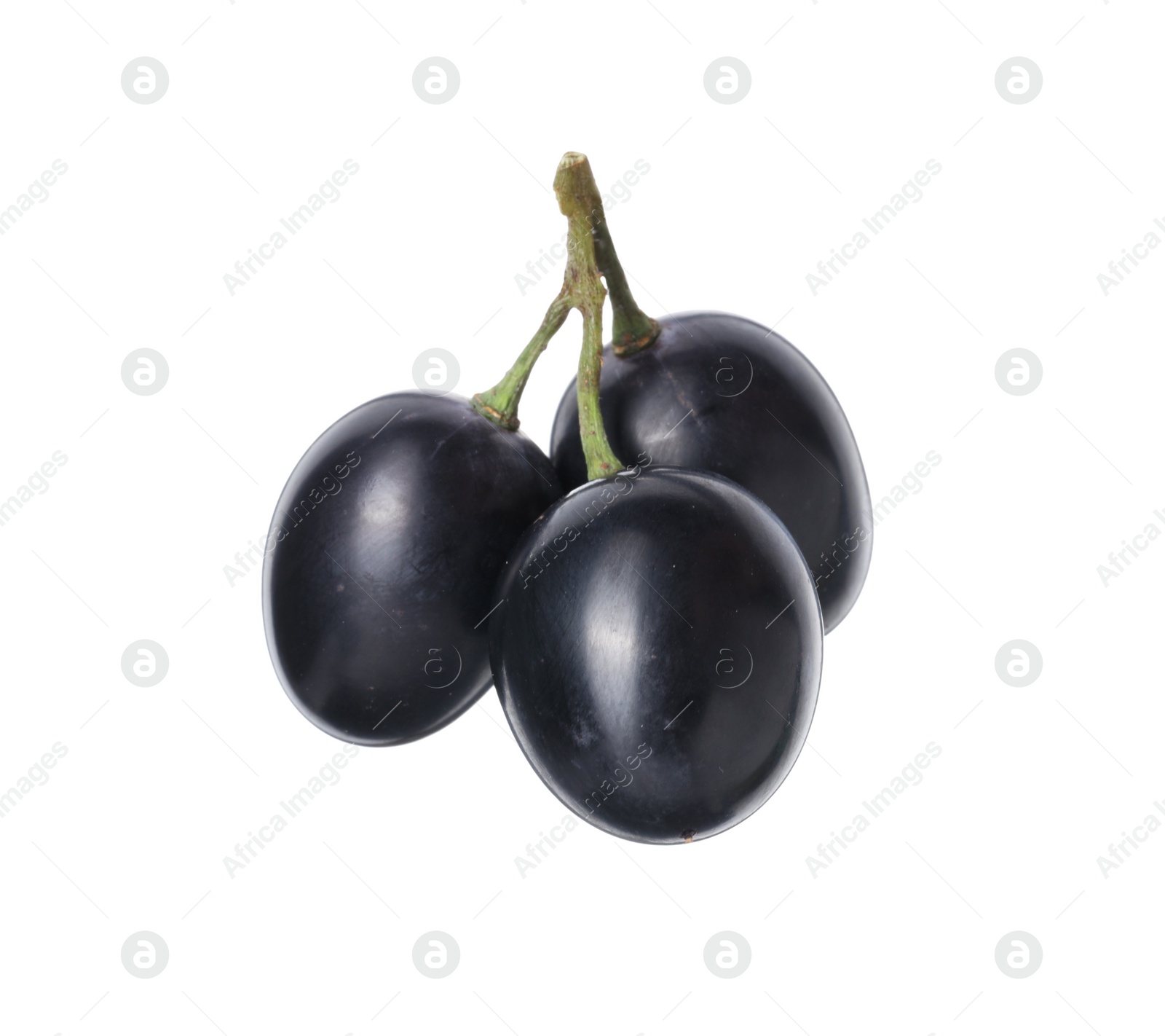 Photo of Delicious ripe dark blue grapes isolated on white