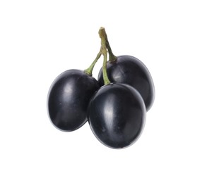 Delicious ripe dark blue grapes isolated on white