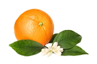 Fresh ripe orange with green leaves and flower on white background